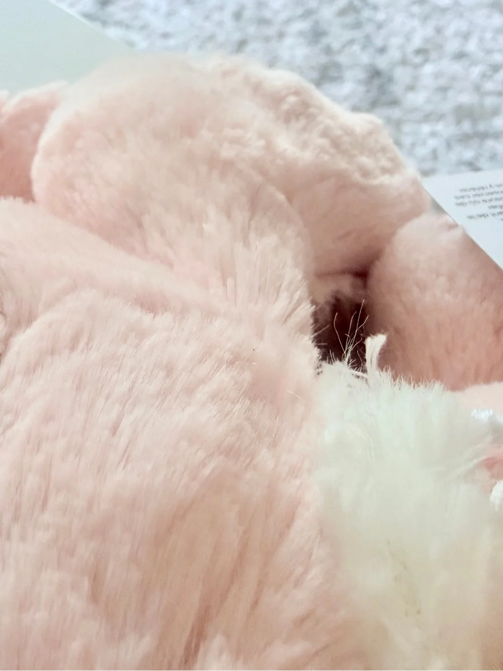Jellycat Blossom Blush Bunny Cherry Bundle Set! BNWT! Fast shipping
